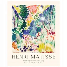 plakat-50x40-henri-matisse-abstrakcja-boho-sztuka-nowoczesny-reprodukcja