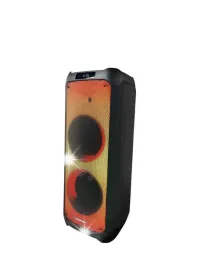 kolumna-aktywna-blaupunkt-pb10db-bluetooth-karaoke-mikrofony-glosnik