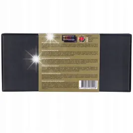 zestaw-farby-olejne-rembrandt-artystyczne-tubki-portrait-alpay-efe-10x15ml