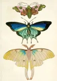 karnet-b6-z-koperta-cmy