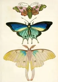 karnet-b6-z-koperta-cmy