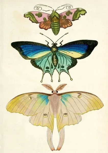 karnet-b6-z-koperta-cmy