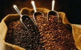 kawa-ziarnista-julius-meinl-premium-caffe-crema-1kg-or-top-arabica-i-robusta