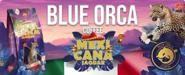 kawa-ziarnista-1kg-mexicana-jaguar-swiezo-palona-100percent-arabica-gratis