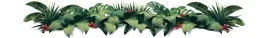 kawa-ziarnista-1kg-karnataka-100percent-arabica-swiezo-palona-blue-orca-gratis