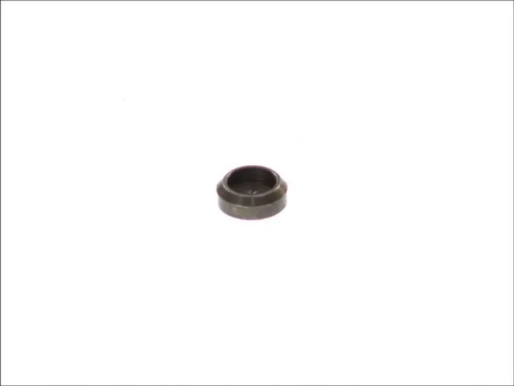 valve-stem-cap-producent-czesci-dt-spare-parts
