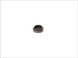 valve-stem-cap-producent-czesci-dt-spare-parts