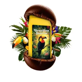 kawa-ziarnista-brazilian-sunrise-1kg-or-mieszanka-or-crema