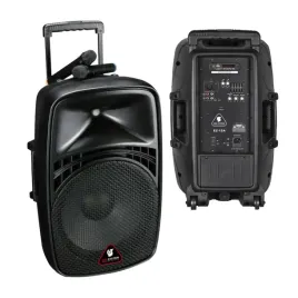 kolumny-glosnikowe-kolumna-aktywna-glosnik-karaoke-mp3-sd-100w-igo-system