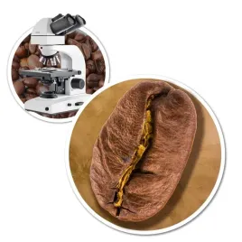 kawa-ziarnista-1kg-de-boa-100percent-arabica-swiezo-palona-blue-orca-gratis