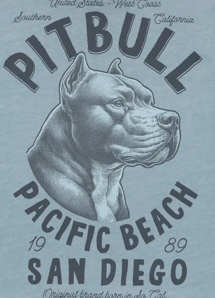 koszulka-pitbull-pacific-190-blue-m-kolor-niebieski
