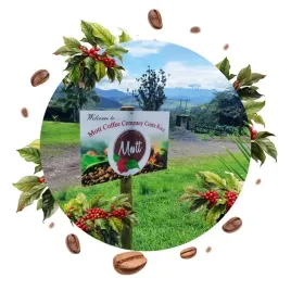 kawa-ziarnista-1kg-100percent-arabica-swiezo-palona-mott-energico-wloska