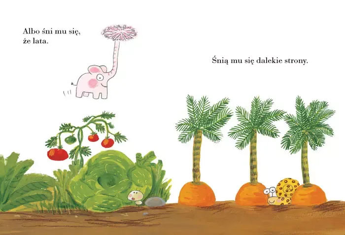 pomelo-sni-autor-ramona-badescu-benjamin-chaud