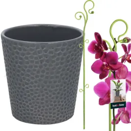 zestaw-doniczka-z-podporka-spirala-donica-oslonka-ceramiczna-storczyk-o95mm