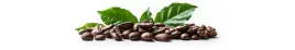 kawa-ziarnista-1kg-brazylia-parana-swiezo-palona-do-ekspresu-gratis