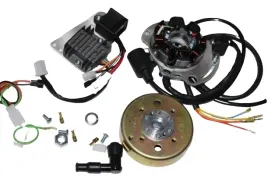 zaplon-elektroniczny-bezstykowy-cdi-12v-shl-m06-m11-wfm-125-s34-kpl-delux