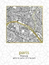 obraz-45x60x18cm-plan-miasta-paris-lumarko