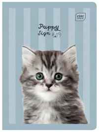 zeszyt-a5-32k-kratka-interdruk-puppy-sign-dla-dziewczynki-313911