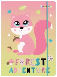 bambino-teczka-z-gumka-a4-squirrel-wiewiorka-dla-dziewczynki