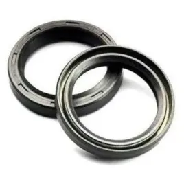 ariete-uszczelniacze-przedniego-zawieszenia-olejowe-dcy1-37x47x11-bmw-r-120