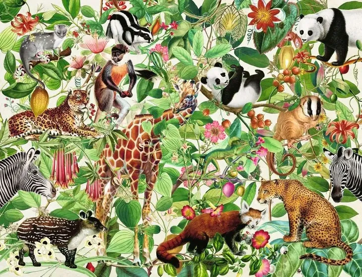 ravensburger-puzzle-2000-elementow-dzungla-stan-nowy