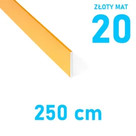 plaskownik-aluminiowy-zloty-mat-20mm-anodowany-250cm