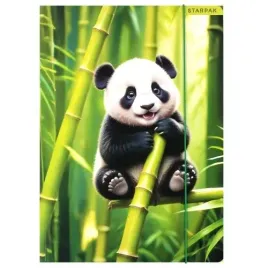 starpak-teczka-z-gumka-a4-wild-animal