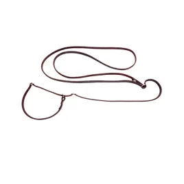 smycz-skorzana-regulowana-z-obroza-polzaciskowa-4wild-290-cm