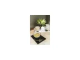 waga-kuchenna-ev014b-czarna-kod-producenta-00298