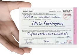 10x-mandat-naklejki-karne-zle-parkowanie-trudnozrywalne-karny-kutas-x10