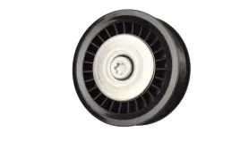 napinacz-paska-micro-v-renault-kangoo-ii-08greater-rolka