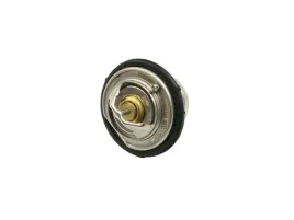 termostat-mercedes-w124-w140-w202-w210