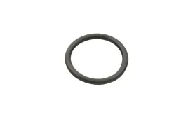 oring-pompy-wody-citroen-jumper-boxer-2-2-hdi-2006-