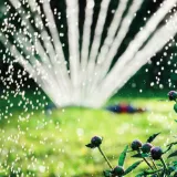 sterownik-blebox-switchboxdc-komunikacja-wifi