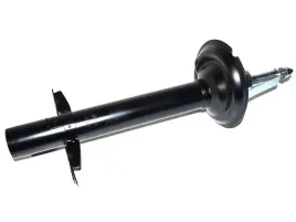 amortyzator-gazowy-przod-l-p-fiat-ducato-06-14-light