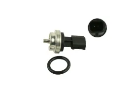 czujnik-temperatury-wody-renault-master-10-2-pin