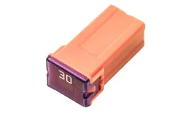 bezpiecznik-kostkowy-pal-maly-30a-1-szt