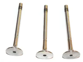 zawor-silnika-wydech-fiat-brava-bravo-95-1-9-td-brava-o