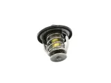 termostat-renault-master-98-3-0-dci