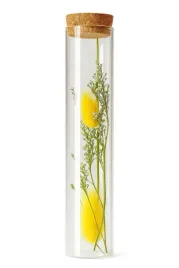 dekoracja-suszone-kwiaty-biale-w-szklanym-sloju-175-cm-z-korkiem