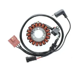 stator-alternatora-electrosport-do-skuterow-125-500-ccm-aprilia-gilera-ital