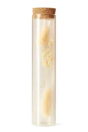 dekoracja-suszone-kwiaty-biale-w-szklanym-sloju-175-cm-z-korkiem