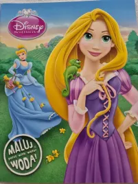 disney-ksiezniczka-maluj-woda-w-59-praca-zbiorowa