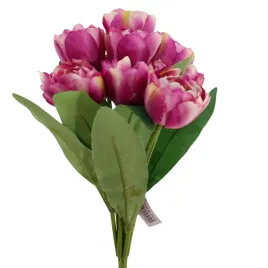 bukiet-tulipan-x9-kremowo-biskupi-sp