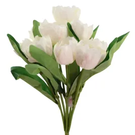 bukiet-tulipan-x9-kremowy-sp