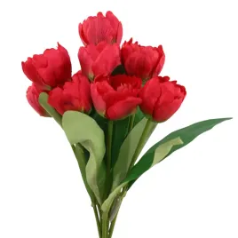 bukiet-tulipan-x9-malinowy-sp