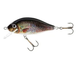 jaxon-wobler-holo-select-karas-8cm-f-w