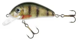 jaxon-wobler-holo-select-golbat-35-cm-jn