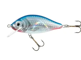 jaxon-wobler-holo-select-karas-8cm-f-sn