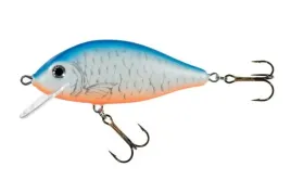 jaxon-wobler-holo-select-karas-8cm-f-nl